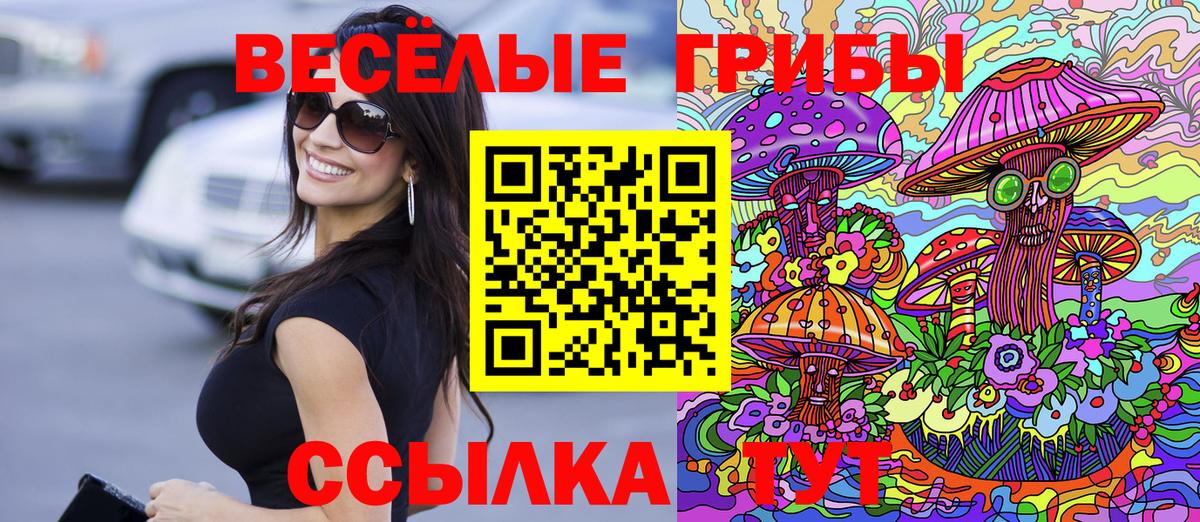 НБОМе Советский